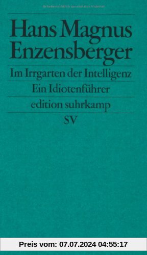 Im Irrgarten der Intelligenz: Ein Idiotenführer (edition suhrkamp)